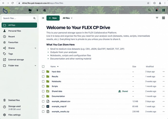 FLEX Drive File Browser Interface